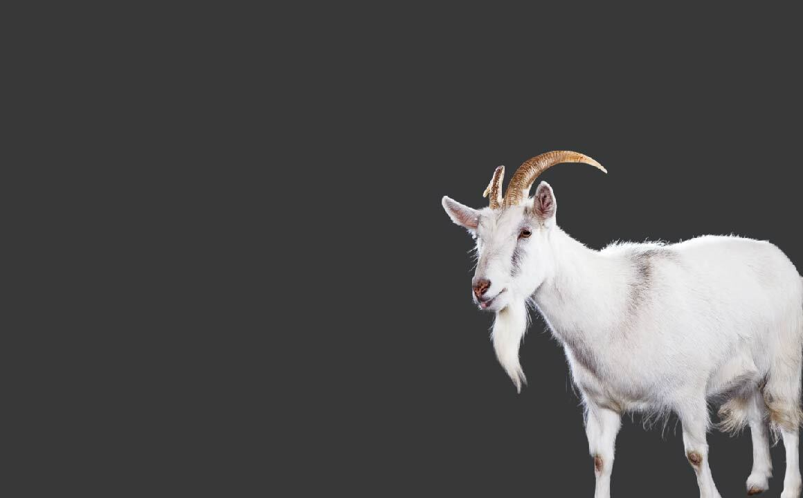 promo-banner-image